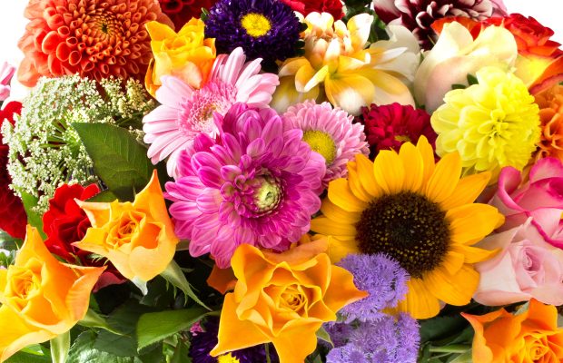 Abby’s Joke: How Do You Know Flowers Are Friendly?