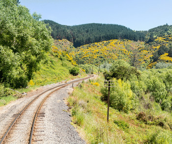 Tourism Trains propose reopening plan