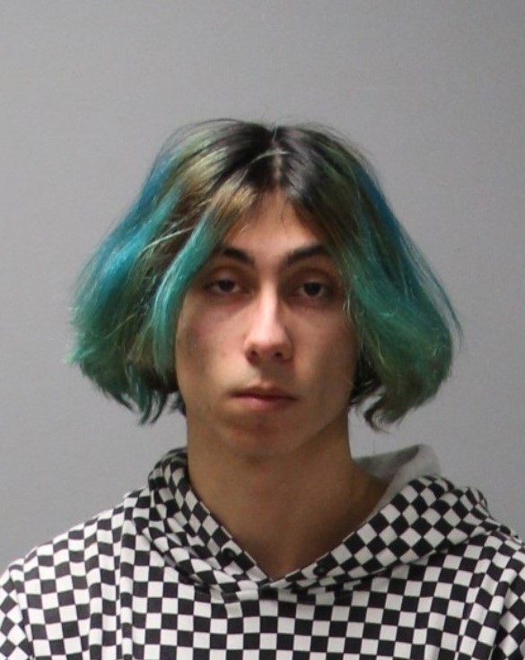 Kidnapping and Stolen Vehicle