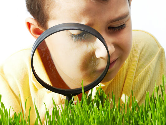 Abby’s Joke: What Do You Call A Detective Who Accidentally Solves All Of His Cases?