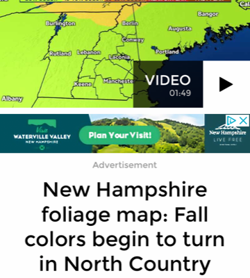 App-a-teaser for September 8th: Leaf Peeping and Forest Pals App-a-teaser for September 8th: Leaf Peeping and Forest Pals