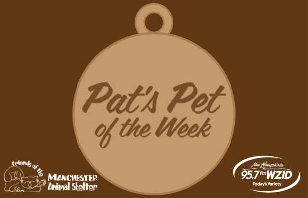 Pat’s Pet of the Week May 17 – Moxie