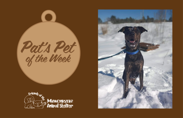 Pat’s Pet of the Week June 7 – Leia