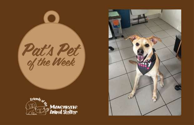 Pat’s Pet of the Week June 14, 2022 – Owen