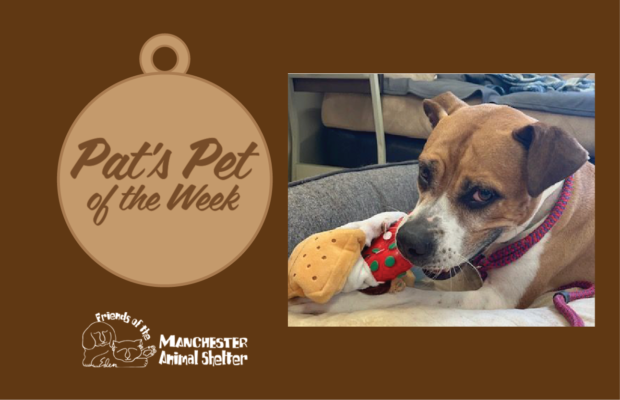 Pat’s Pet of the Week 7/12/22 – Bella