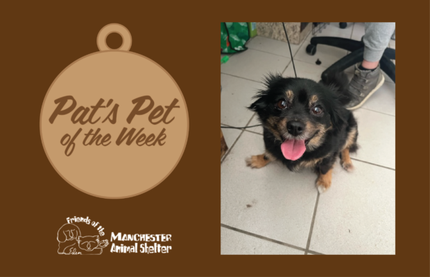 Pat’s Pet of the Week 8/2/22 – Punky