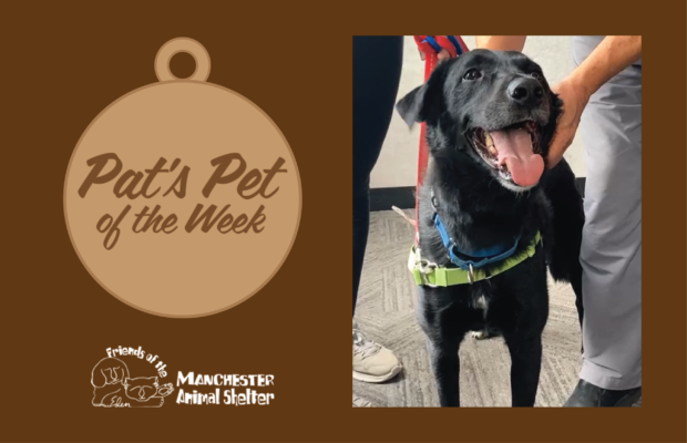 Pat’s Pet of the Week 8/9/22 – Ryder