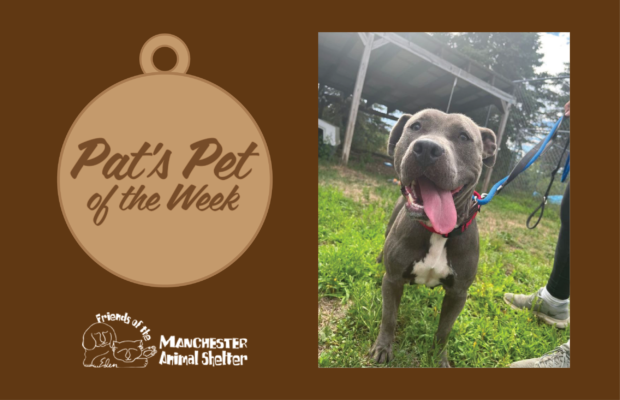 Pat’s Pet of the Week 8/16/22 – Shelby