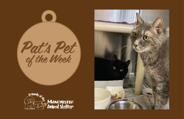 Pat’s Pet of the Week 9/27/22 – Gilbert (and Max) Pat’s Pet of the Week 9/27/22 – Gilbert (and Max)