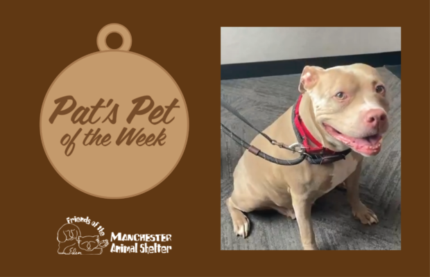 Pat’s Pet of the Week 9/20/22 – Iris