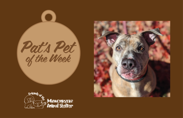 Pat’s Pet of the Week 10/25/22 – Zeke Pat’s Pet of the Week 10/25/22 – Zeke
