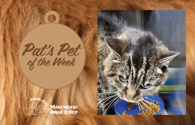 Pat’s Pet of the Week 11/29/22 – Hope