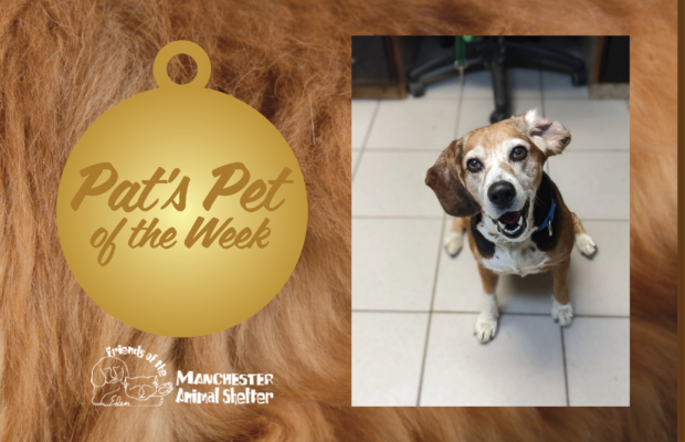 Pat’s Pet of the Week 12/6/22 – Maggie