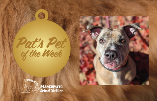 Pat’s Pet of the Week 1/31/23 – Zeke