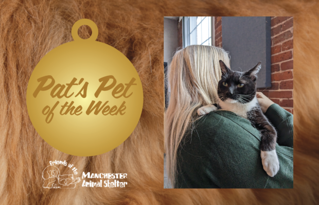Pat’s Pet of the Week 2/21/23 – Mr. Man