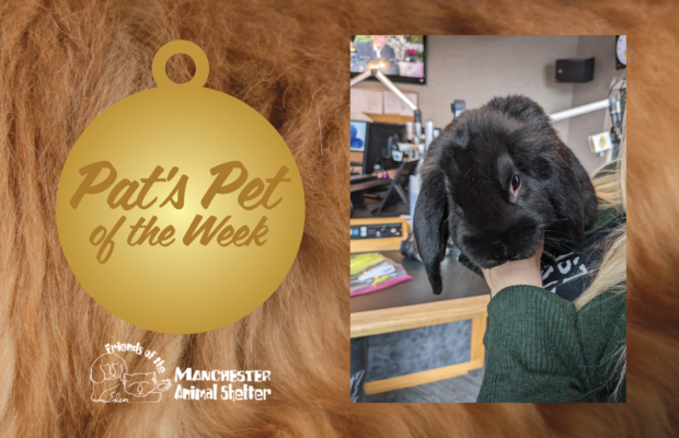 Pat’s Pet of the Week 2/28/23 – Trumpet