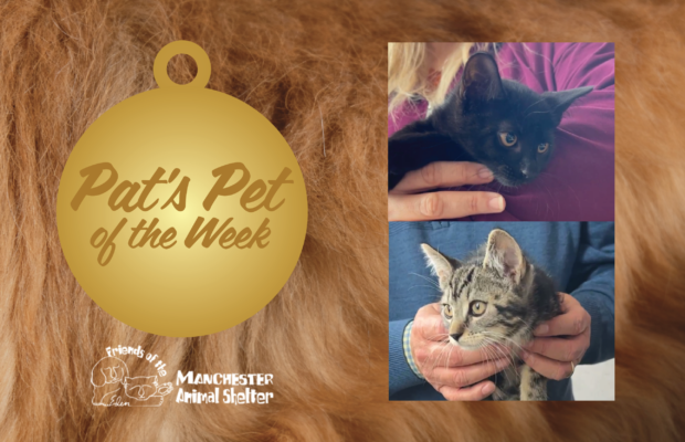 Pat’s Pet of the Week 3/28/23 – Mary & Carrie