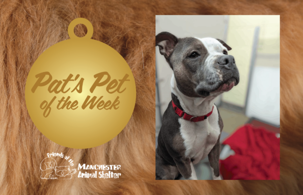Pat’s Pet of the Week 4/25/23 – Helga Pat’s Pet of the Week 4/25/23 – Helga
