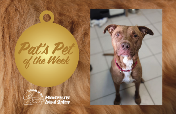 Pat’s Pet of the Week 5/9/23 – Ace