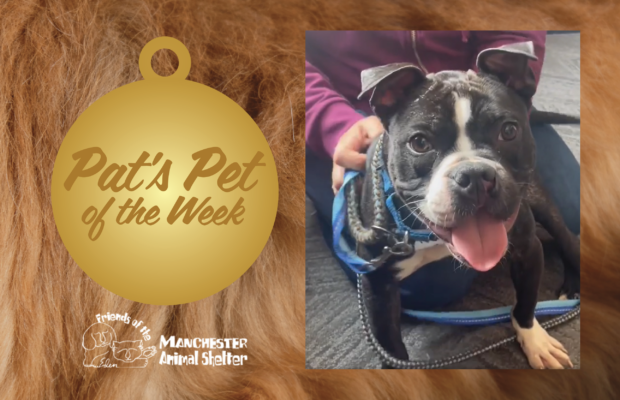 WZID’s Pet of the Week 6/13/23 – Jolene