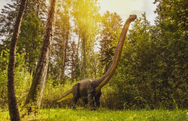 Abby’s Joke: Why Is Car Insurance So Expensive For Dinosaurs?