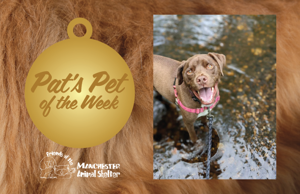 WZID’s Pet of the Week 7/18/23 – Finley
