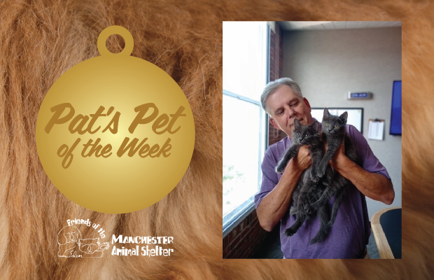 WZID’s Pet of the Week 7/11/23 – Jessie & Bo WZID’s Pet of the Week 7/11/23 – Jessie & Bo