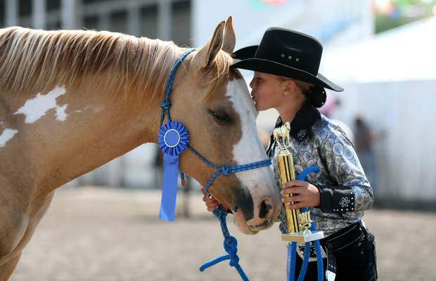 Abby’s Joke: Why Couldn’t The Pony Sing A Song? Abby’s Joke: Why Couldn’t The Pony Sing A Song?