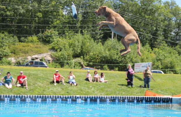 Osborne’s Splash & Wag – 8/12/23 Osborne’s Splash & Wag – 8/12/23
