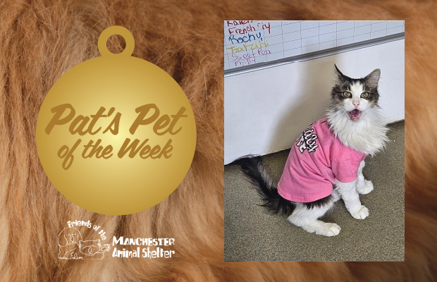 WZID’s Pet of the Week 8/22/23 – Mr. Rogers