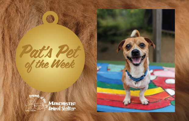 WZID’s Pet of the Week 8/15/23 – Trout