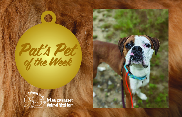 WZID’s Pet of the Week 9/12/23 – Bear Joseph