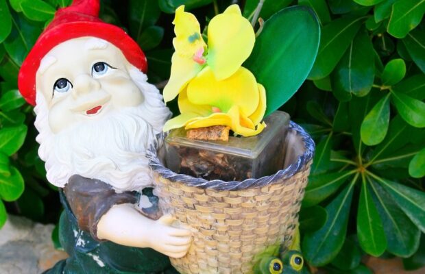 Abby’s Joke: Did You Know Most Garden Gnomes Have Red Hats?