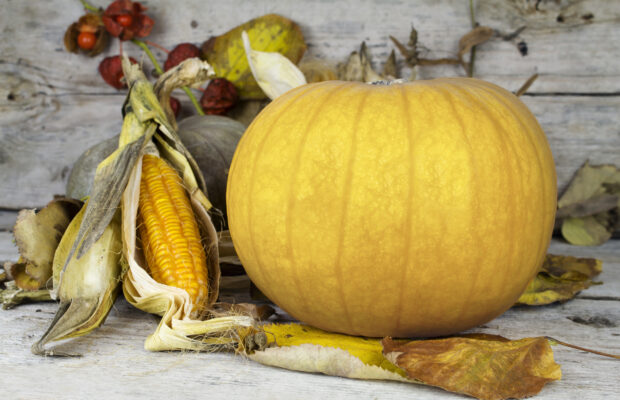 Are You Too Old To Trick-Or-Treat?