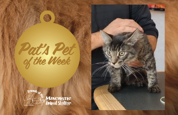 WZID’s Pet of the Week 10/24/23 – Jupiter