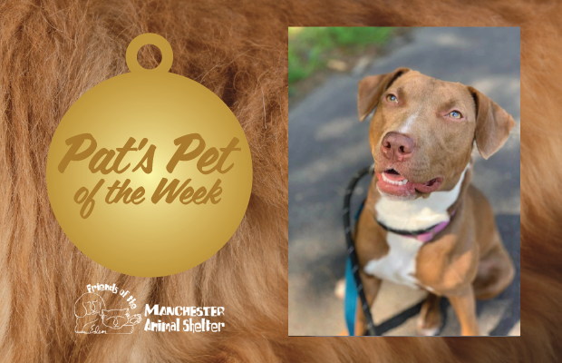 WZID’s Pet of the Week 10/10/23 – Mocha