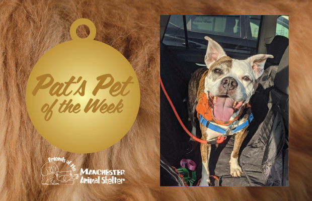 WZID’s Pet of the Week 10/3/23 – Pebbles