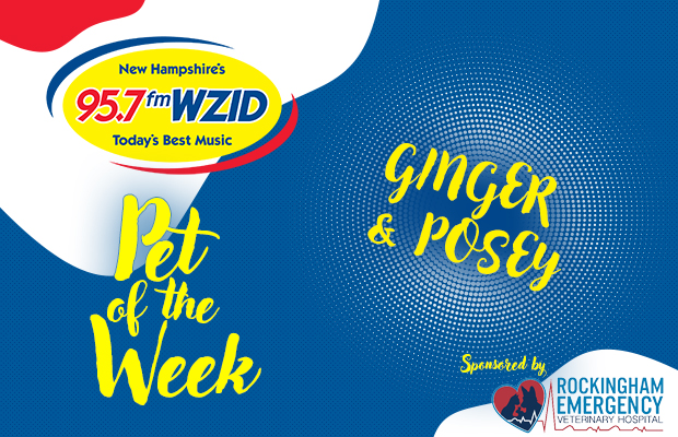 WZID’s Pet of the Week 11/28/23 – Posey & Ginger WZID’s Pet of the Week 11/28/23 – Posey & Ginger