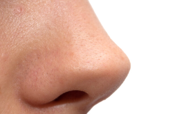 Abbys Joke: Why Can’t A Nose Be 12 Inches Long?