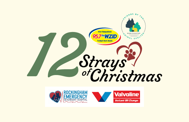 12 Strays of Christmas 12 Strays of Christmas