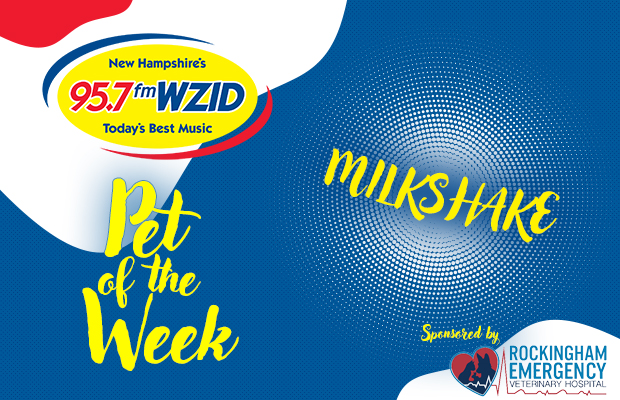 WZID’s Pet of the Week 12/5/23 – Milkshake