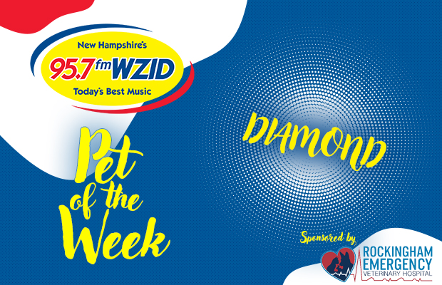 Diamond – 1/2/24