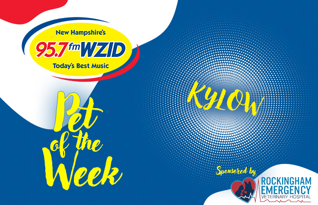 Kylow – 2/20/24