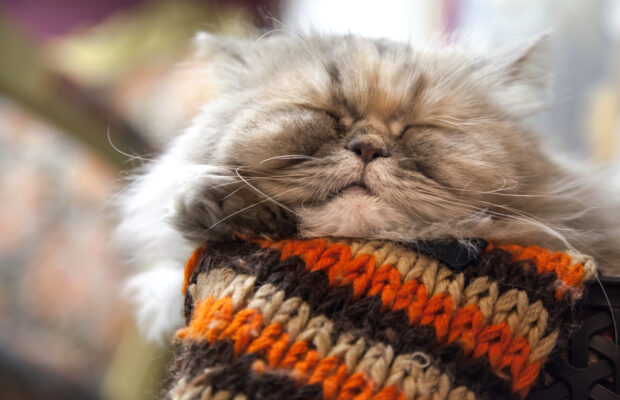 Snoring At Manchester Radio Group