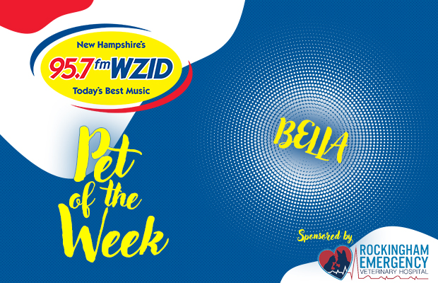 Bella – 4/16/24