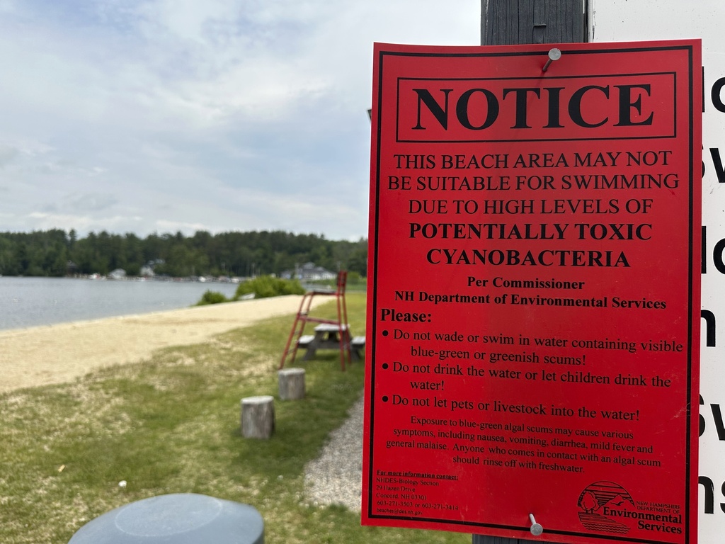 Bacteria Warnings for some NH Water Bodies