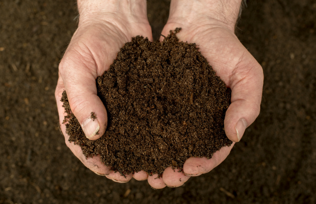 Go Green Tip: Composting with Sophie Go Green Tip: Composting with Sophie
