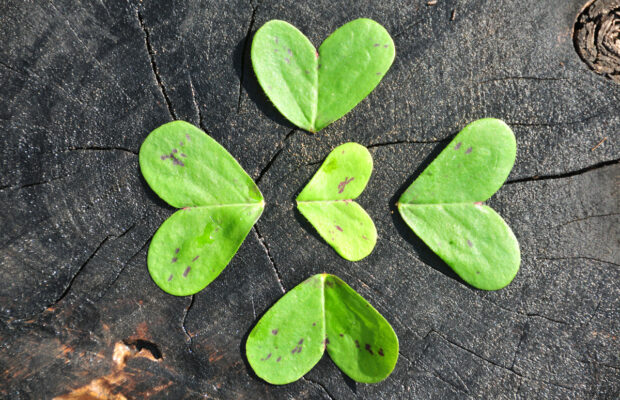 Marga Recaps Ireland