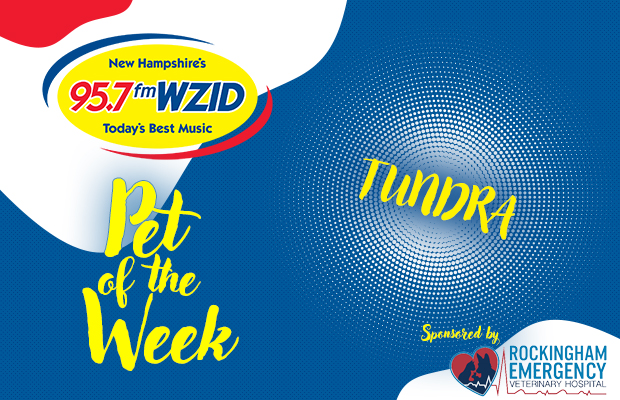 Tundra – 8/27/24