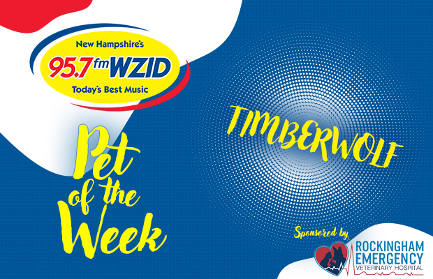 Timberwolf – 9/24/24